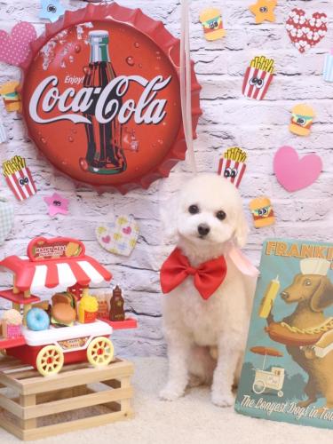 20230923ふぁるくん